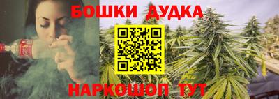 хмурый Свободный