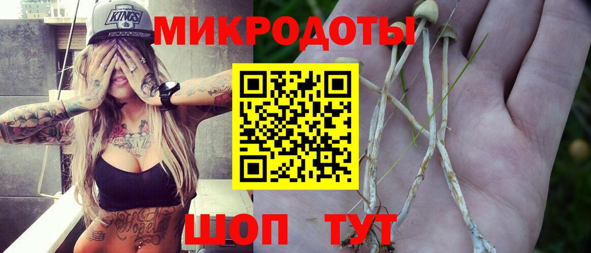 Подольск  Псилоцибиновые грибы Cubensis  Вход с VPN  купить наркотики сайты  Псилоцибиновые грибы Psilocybe 